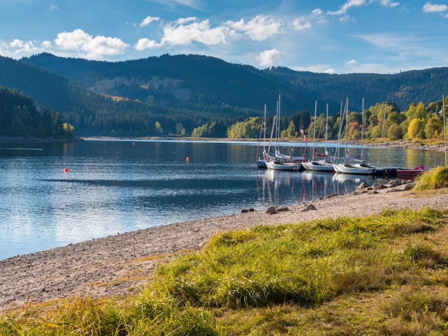 5 Tage Wandern im Schwarzwald   