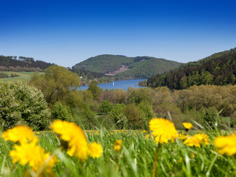 4 Tage Wandern auf dem Sauerland Höhenflug inkl. 1 x Verwöhn-Halbpension  