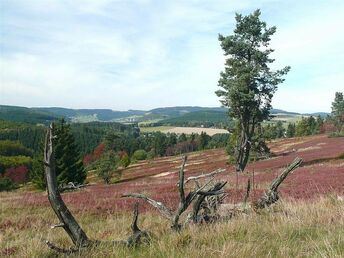 4 Tage Auszeit im Sauerland inkl. Verwöhn-Halbpension