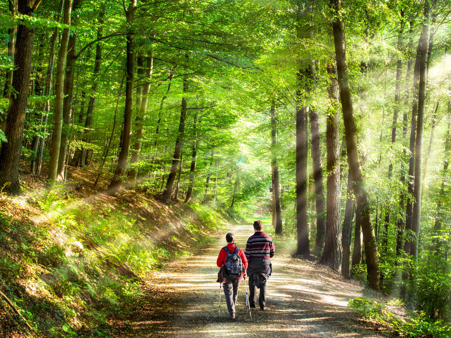 Auszeit am Fohrenbühl |2 Tage Schwarzwald