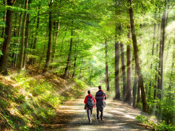 Stopover am Fohrenbühl |2 Tage Schwarzwald