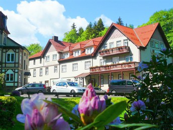 Zeit zum Auftanken im Thüringer Wald