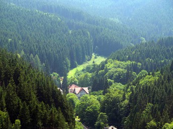 Zeit zum Auftanken im Thüringer Wald