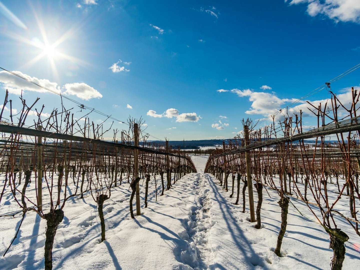 8 Tage Kurzurlaub - den gönn ich mir am Bodensee