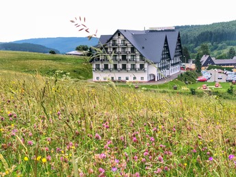 Eine Woche Erzgebirge inkl. Halbpension