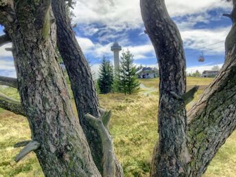 Gönnen Sie sich eine Auszeit! 3 Tage im Sauerland 