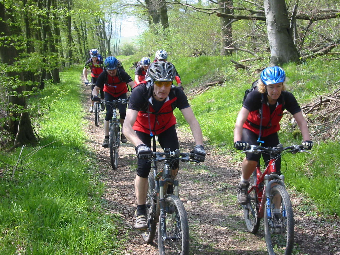 4 Tage Wellness-Auszeit in Uslar inkl. 4-Gang-Menü