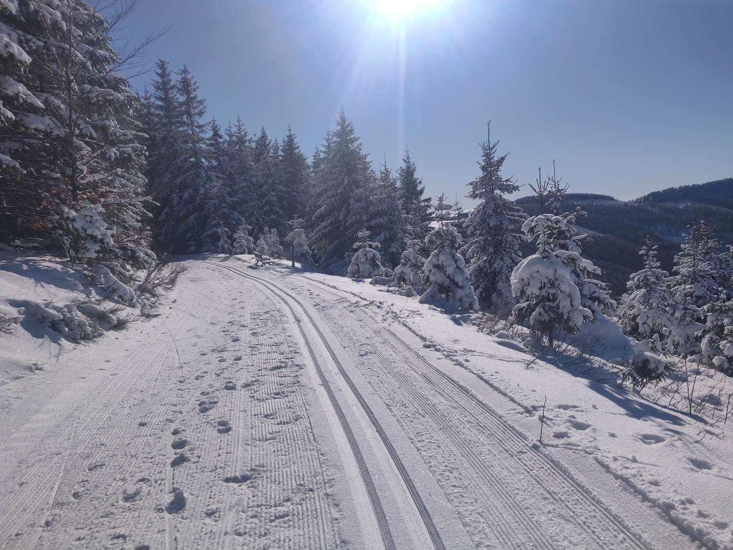 Wanderpauschale im Sauerland inkl. HP | 4 Nächte - Anreise So & Mo