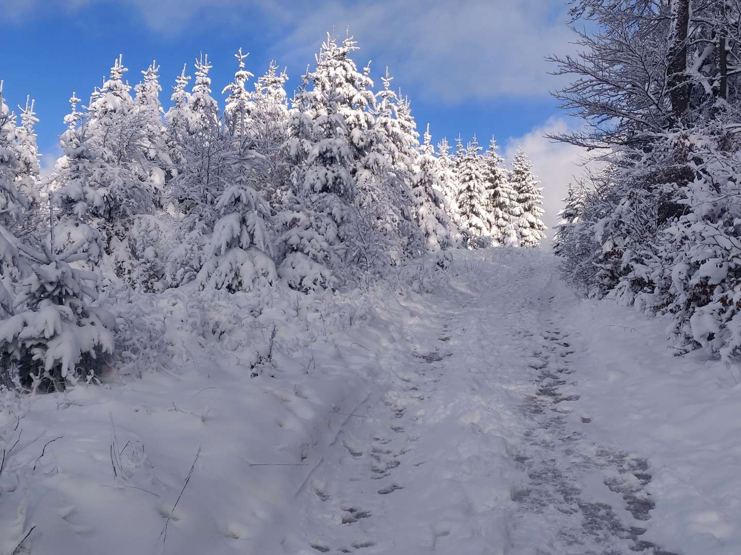 Wanderpauschale im Sauerland inkl. HP | 4 Nächte - Anreise So & Mo