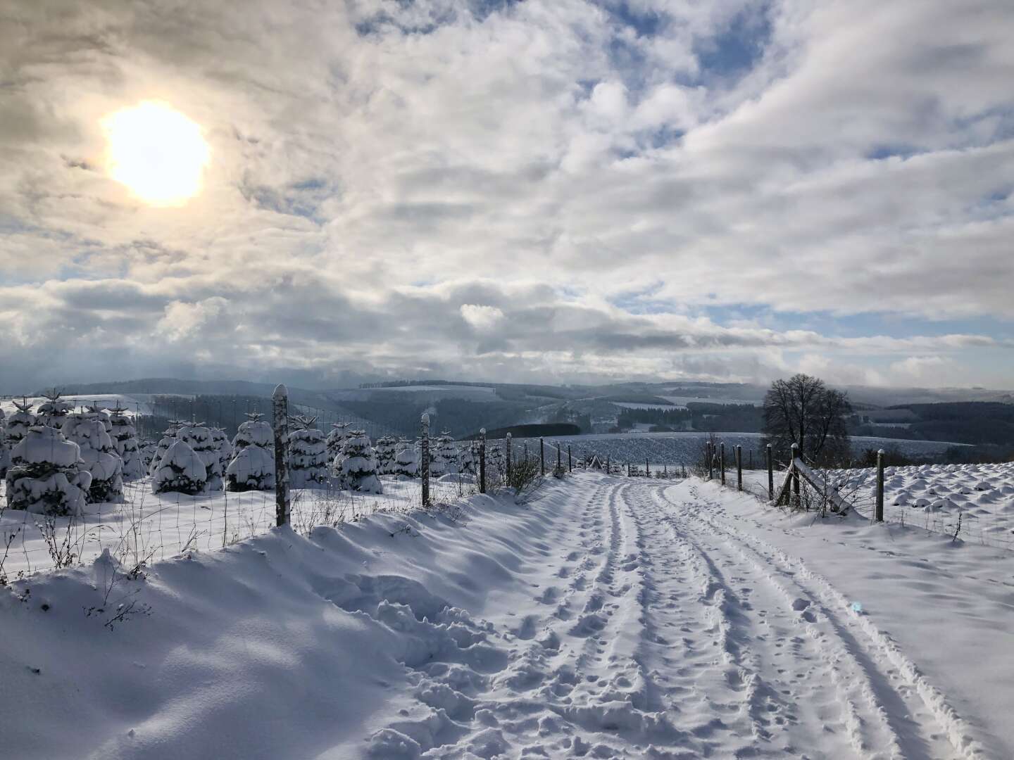 Wanderpauschale im Hochsauerland - 5 Tage 