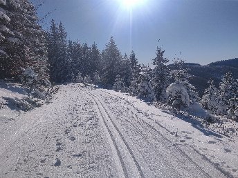 Skilanglauftage im Hochsauerland | 4 Tage