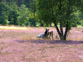 Meeresklima-Wohlfühl-Auszeit in der Lüneburger Heide- 4 Tage