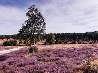 Meeresklima-Wohlfühl-Auszeit in der Lüneburger Heide- 8 Tage