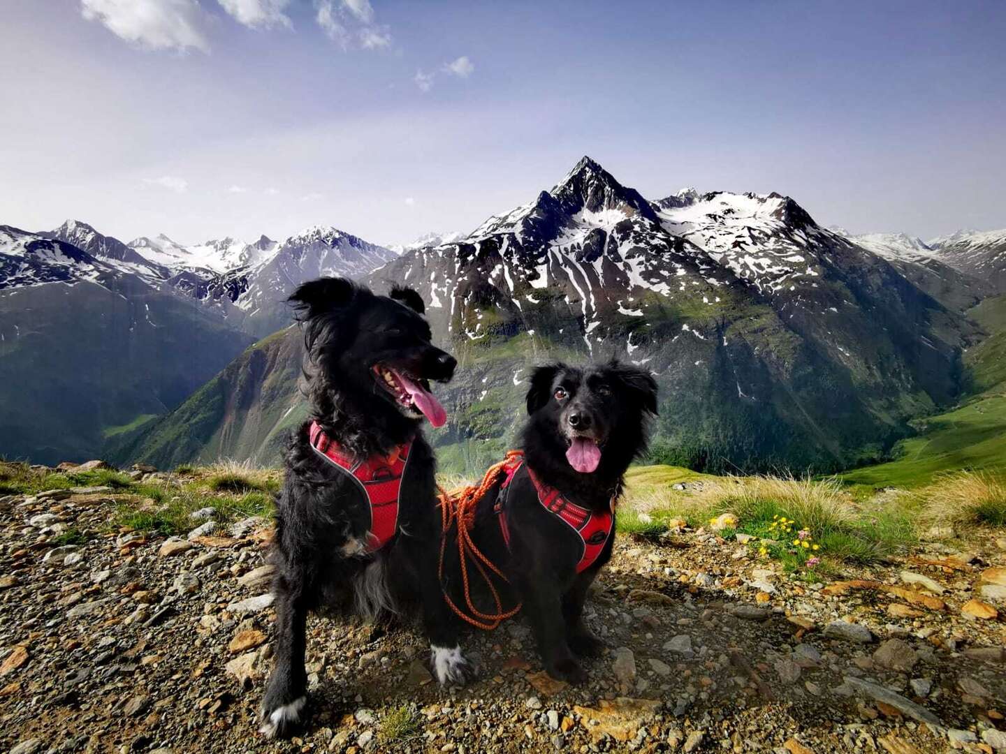 3 Hundstage in den Bergen