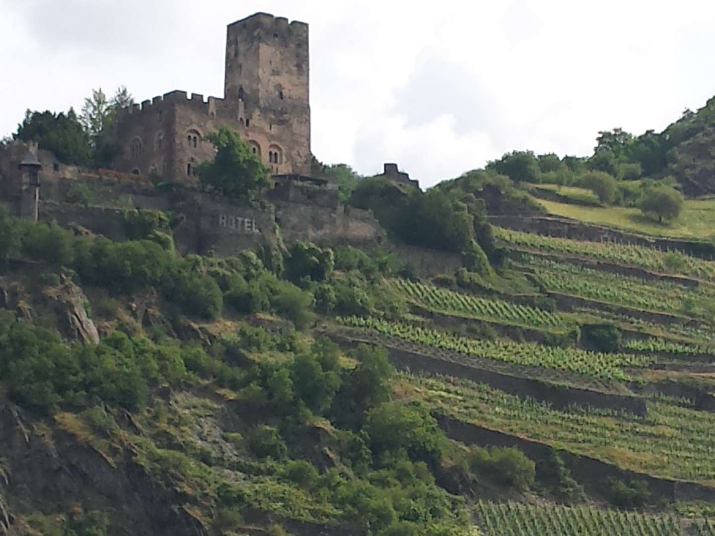 4 Tage - Rheingau erleben! inkl. € 30 Gutschein für ein Abendessen