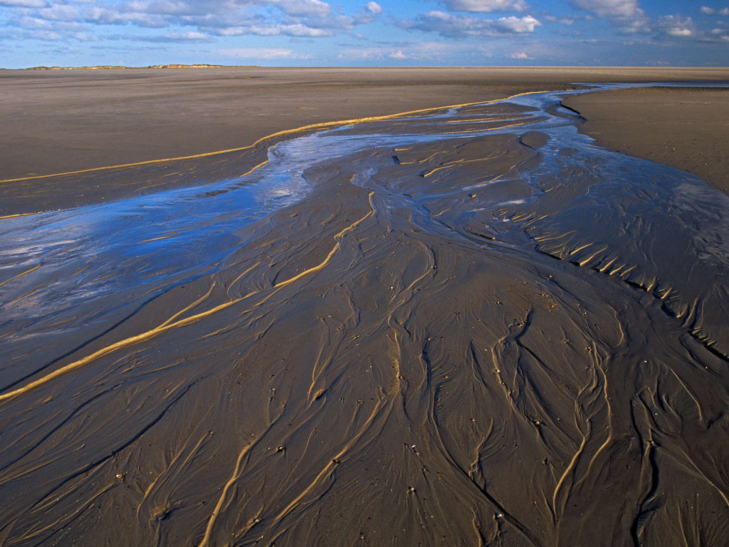 Weltnaturerbe Wattenmeer - Erholung in Büsum | 4 Tage