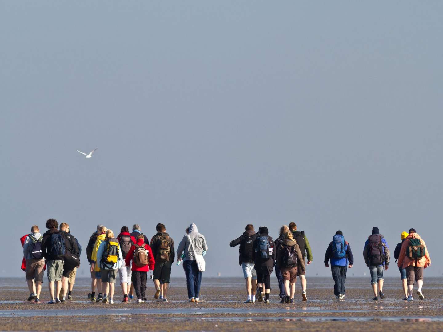 Weltnaturerbe Wattenmeer - Erholung in Büsum | 4 Tage