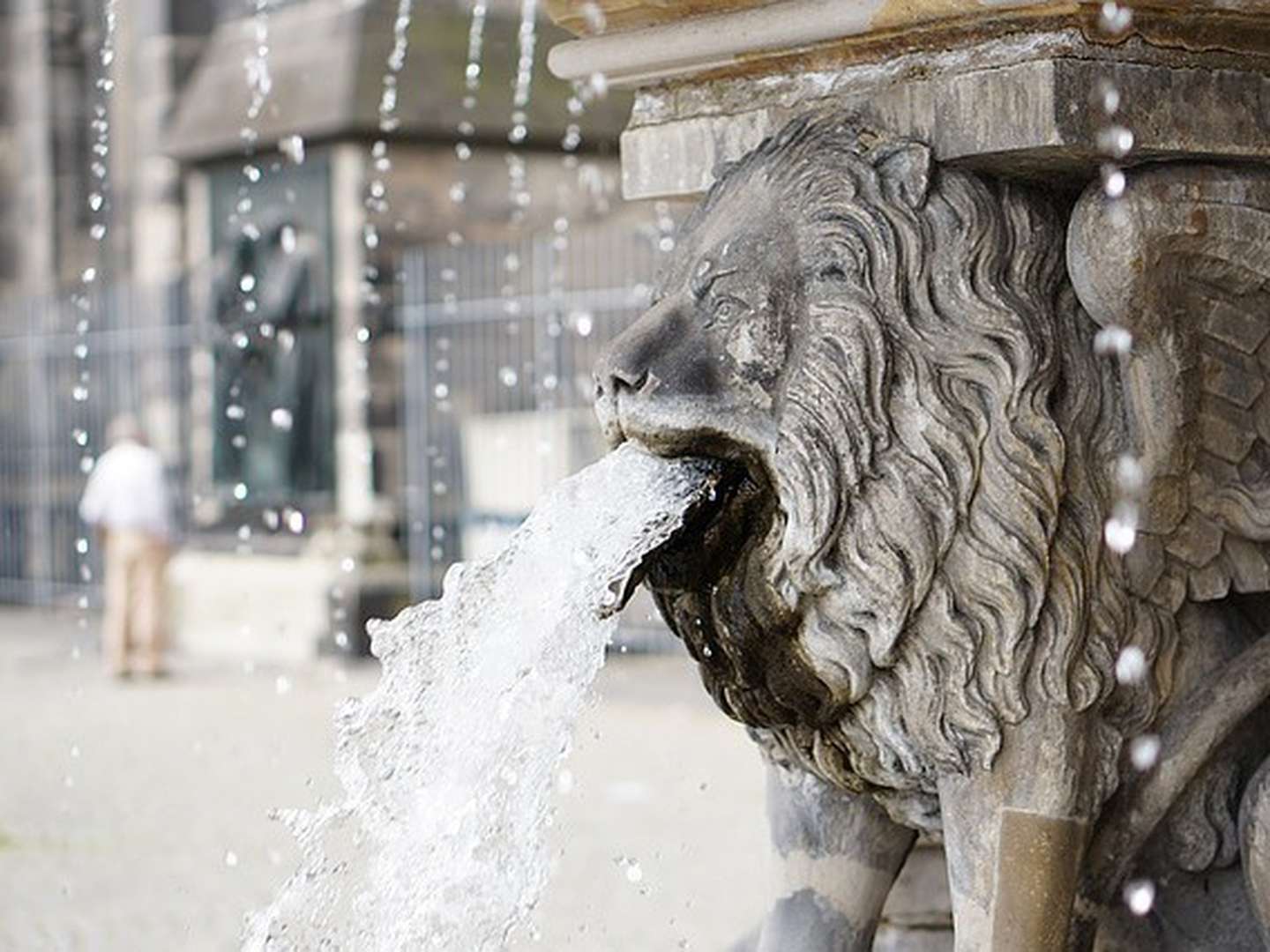 Serenade im Mondschein & Romantik für 3 Tage in Köln