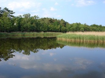 Kurzurlaub im Ostseebad Prerow auf dem Darß