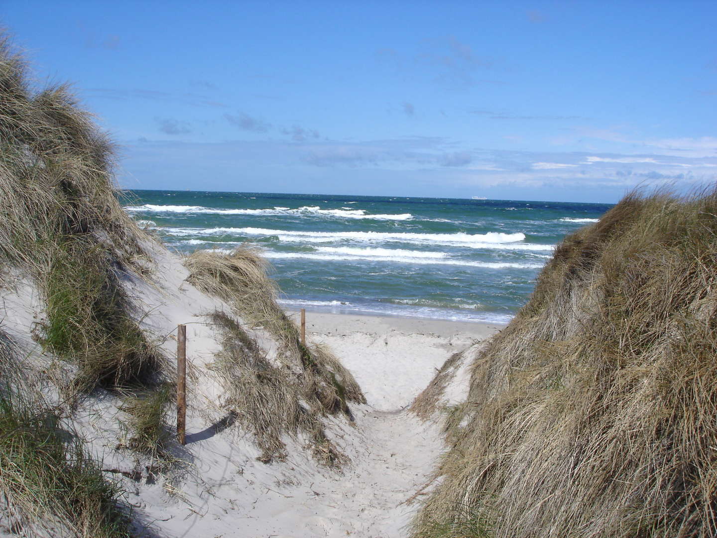 Schnuppertage auf dem Darß in Prerow