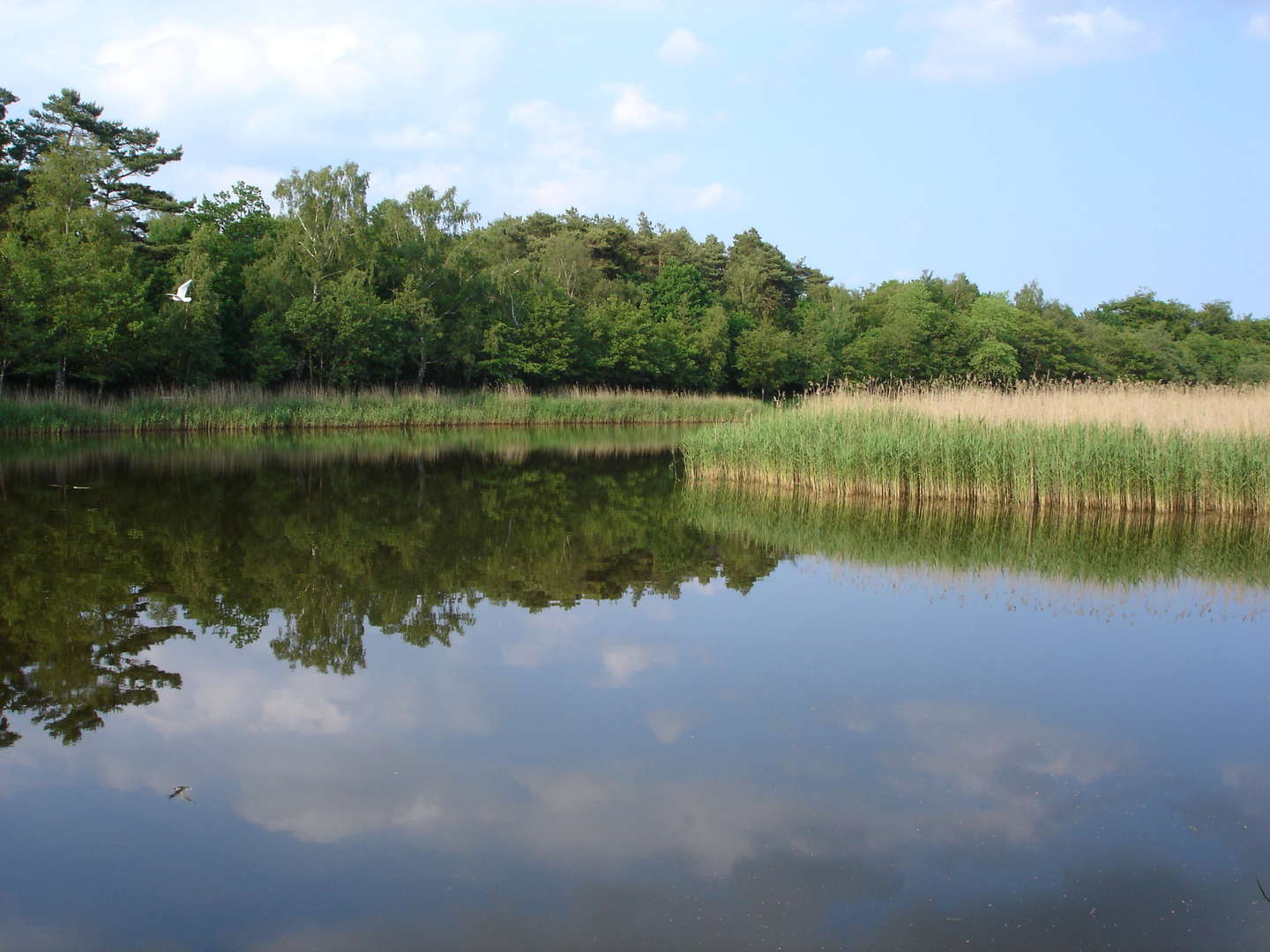 Schnuppertage auf dem Darß in Prerow