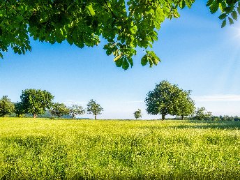 Sommererwachen in der 3-Burgen-Stadt inkl. Eintritt Burg Vischering & Halbpension