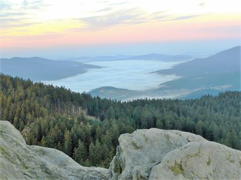 Kurzurlaub im Bayerischen Wald inkl. Abendessen