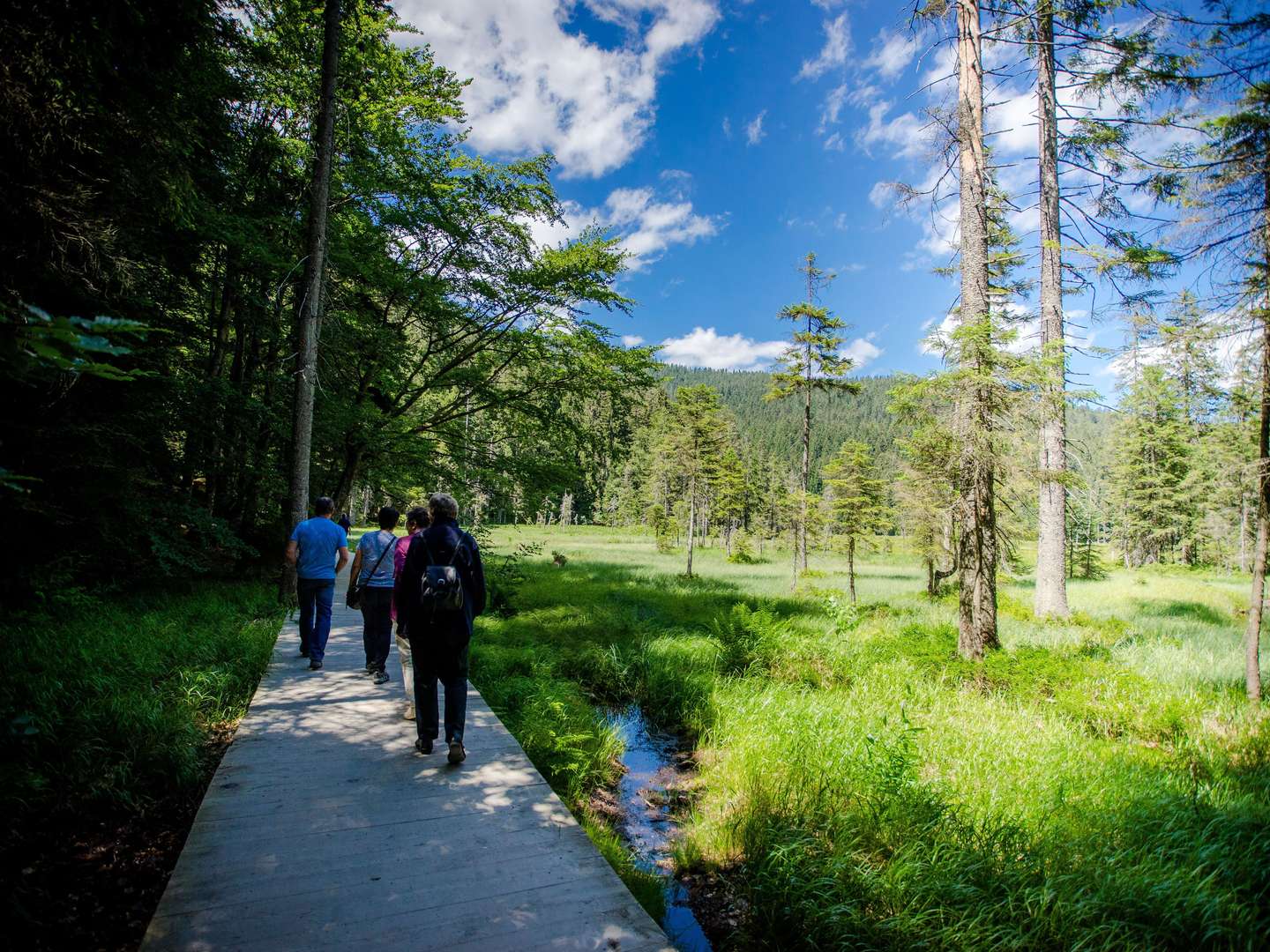 Genießer Zeit im Bayerischen Wald inkl. Candle-Light-Dinner & Wellnessgutschein 