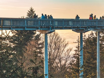 Herbstzeit Ferienregion St. Englmar mit WaldWipfelWeg