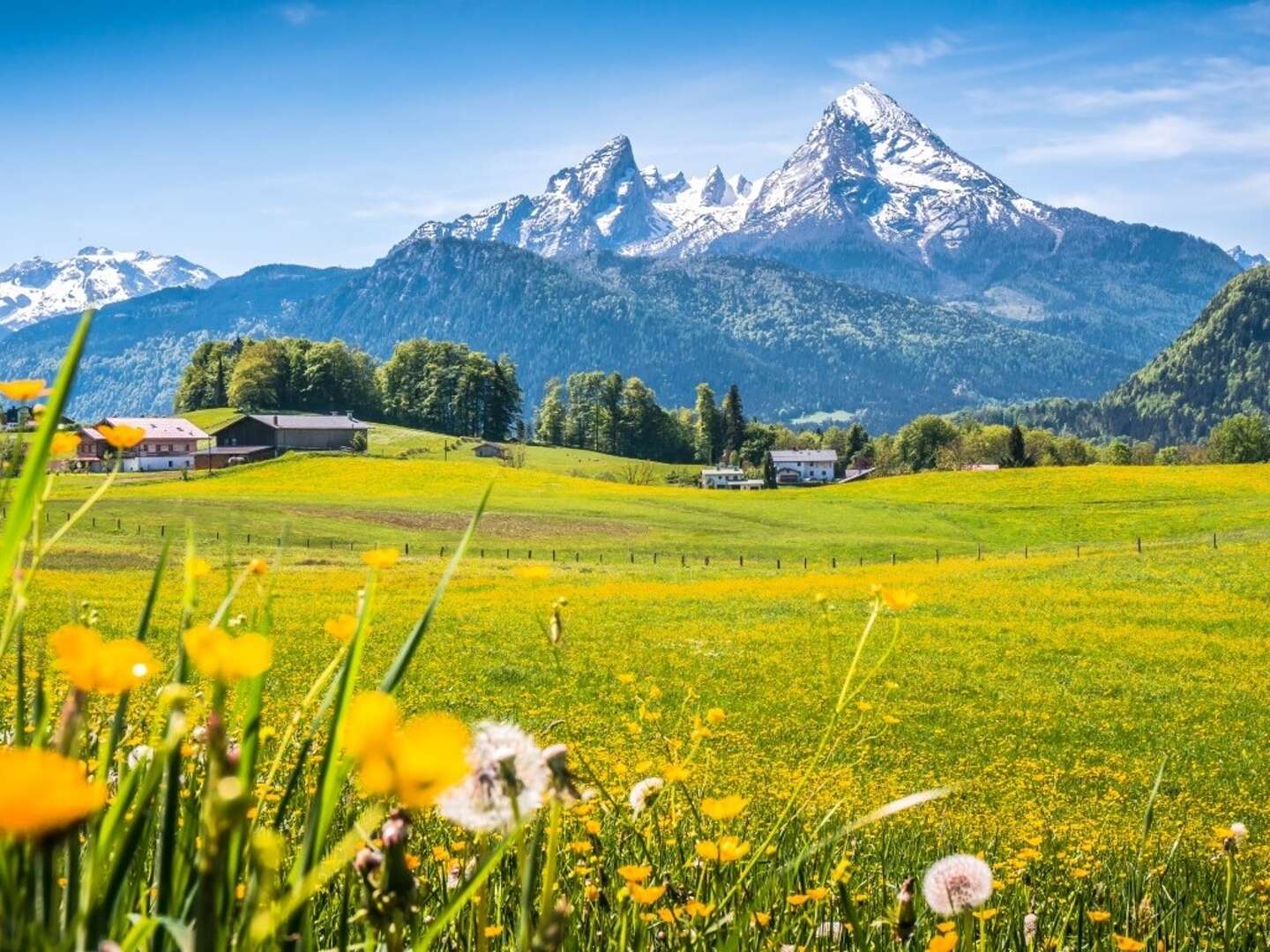 Allgäuer Schnuppertage in Schwangau