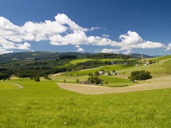 RausZEIT am Tor zum Schwarzwald