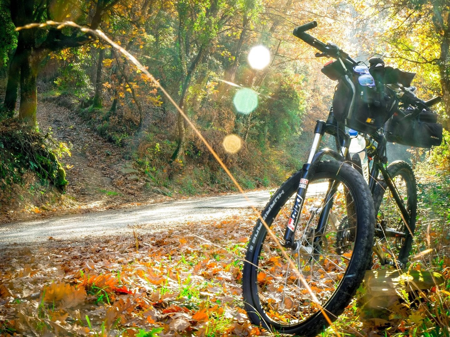 Radurlaub im Schwarzwald - Aktivurlaub zwischen Wald und Panorama | 5 Tage   