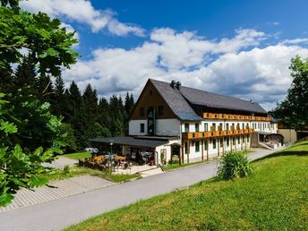 Bergsommer im Vogtland inkl. Halbpension für 7 Tage 