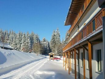 Weihnachten im Waldhotel