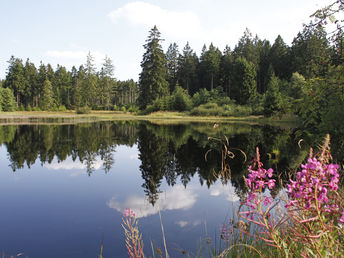 Aktiv im Harz