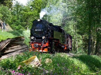 Alles Drin- Bad Harzburg & den Harz erleben!