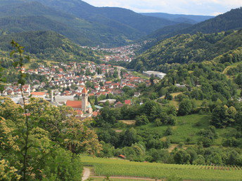 Premiumwandern im Schwarzwald „Gernsbacher Runde“ oder „Murgleiter“ 