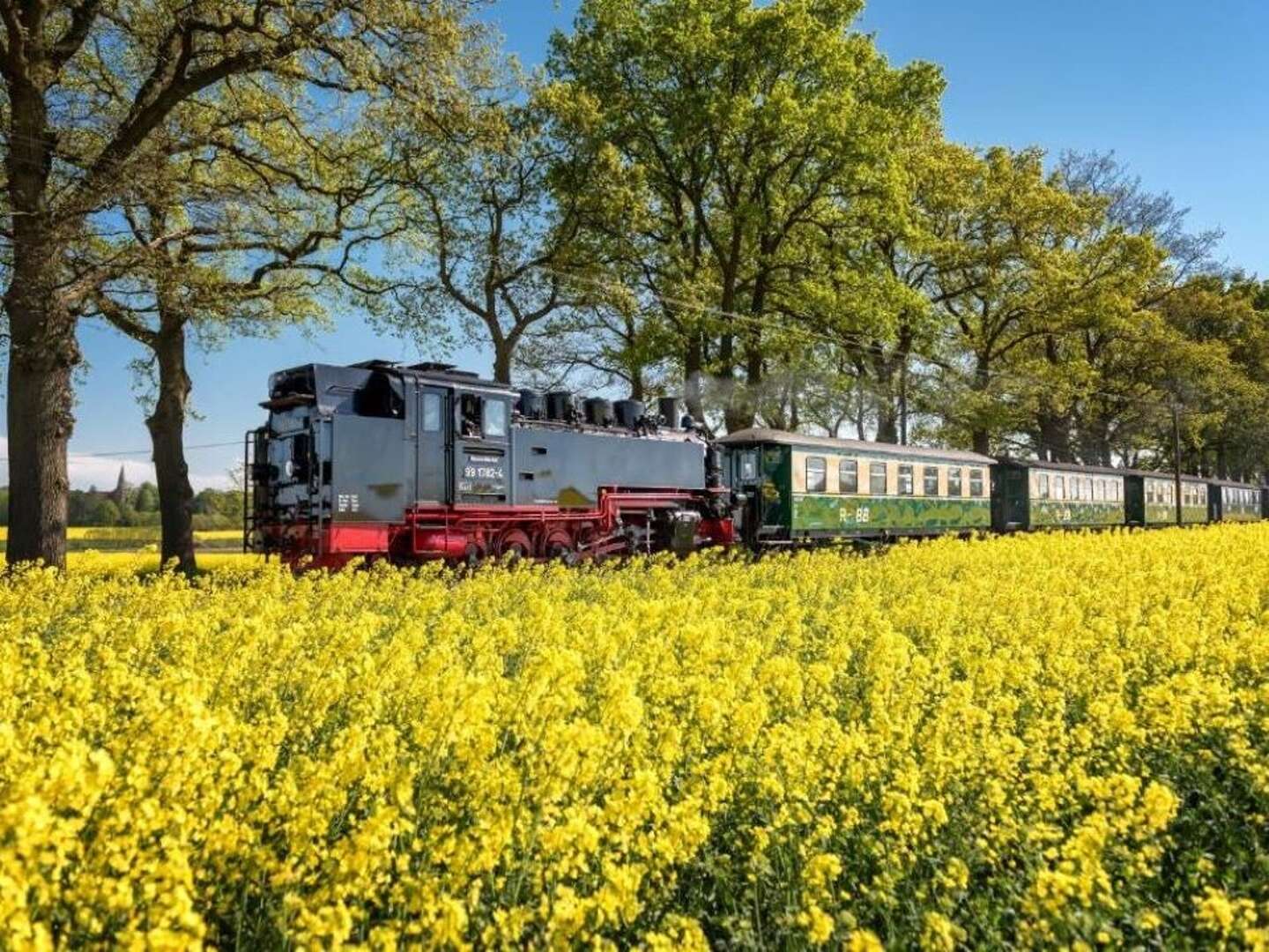 Auszeit auf Rügen im Ostseebad Binz inkl. Halbpension