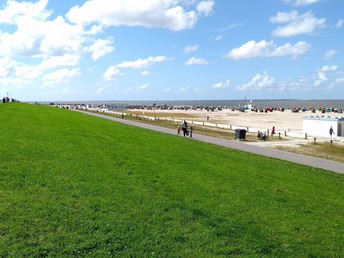 Muschelsucher an der Nordsee 