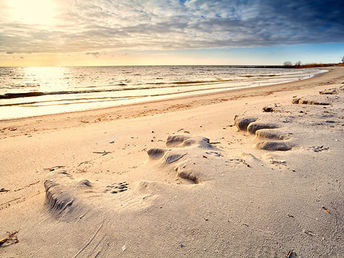 Muschelsucher an der Nordsee 