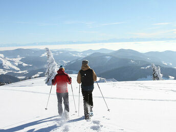 Wiedener Eck's Weitblick I beste Aussichten im Südschwarzwald auf 1050 m.ü.M.