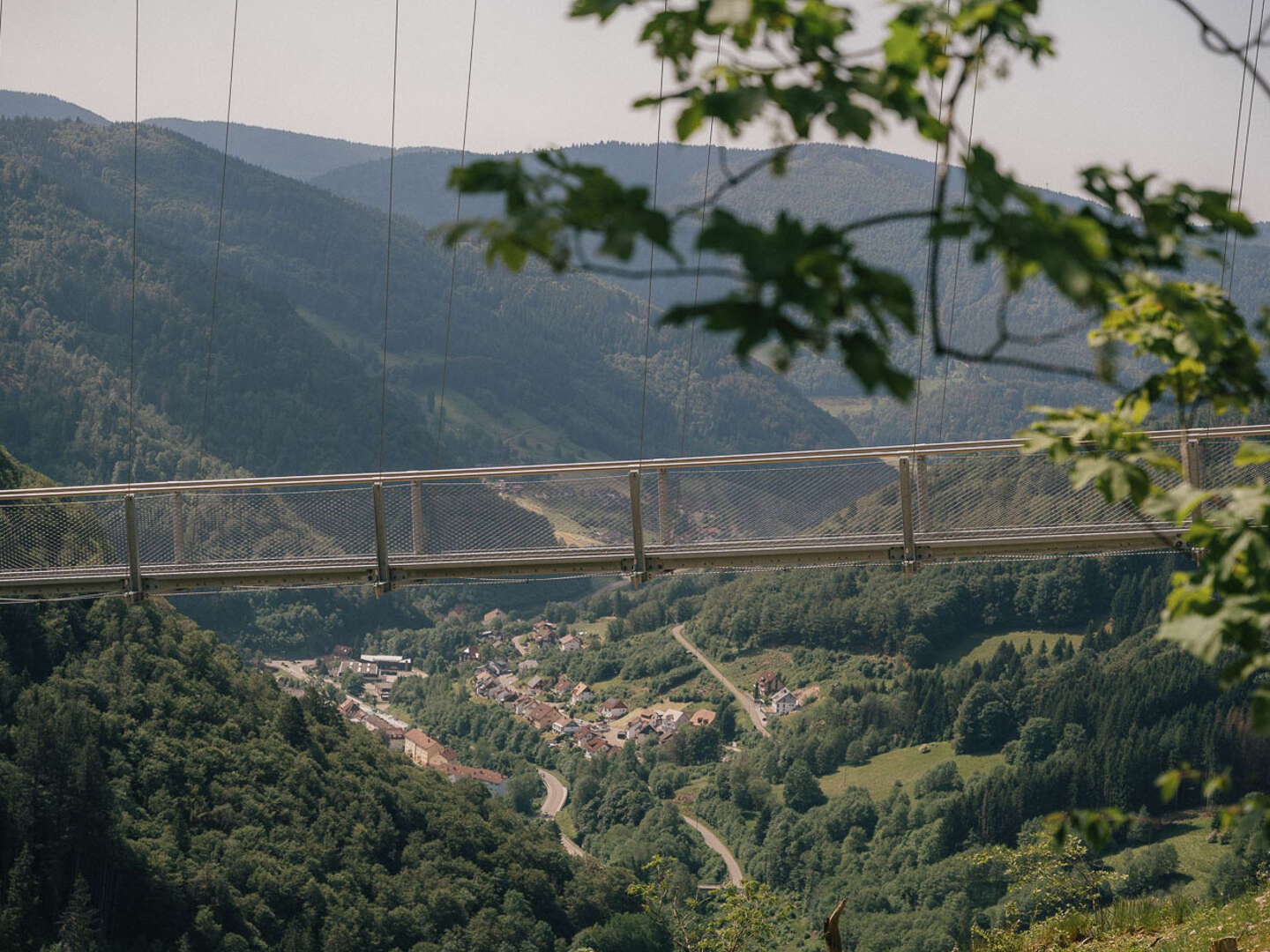 Wiedener Eck's Weitblick I beste Aussichten im Südschwarzwald auf 1050 m.ü.M.