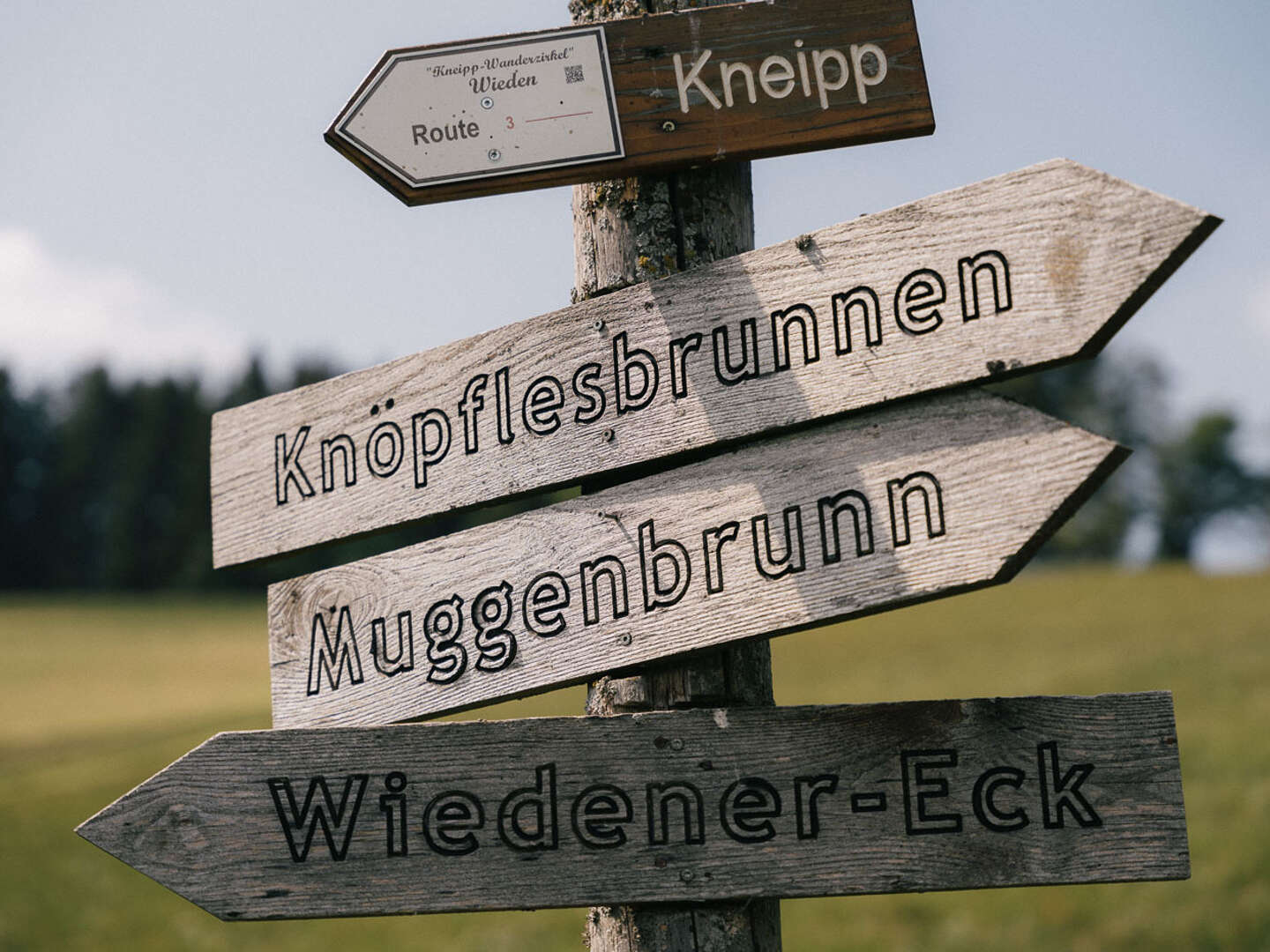 Wiedener Eck's Weitblick I beste Aussichten im Südschwarzwald auf 1050 m.ü.M.