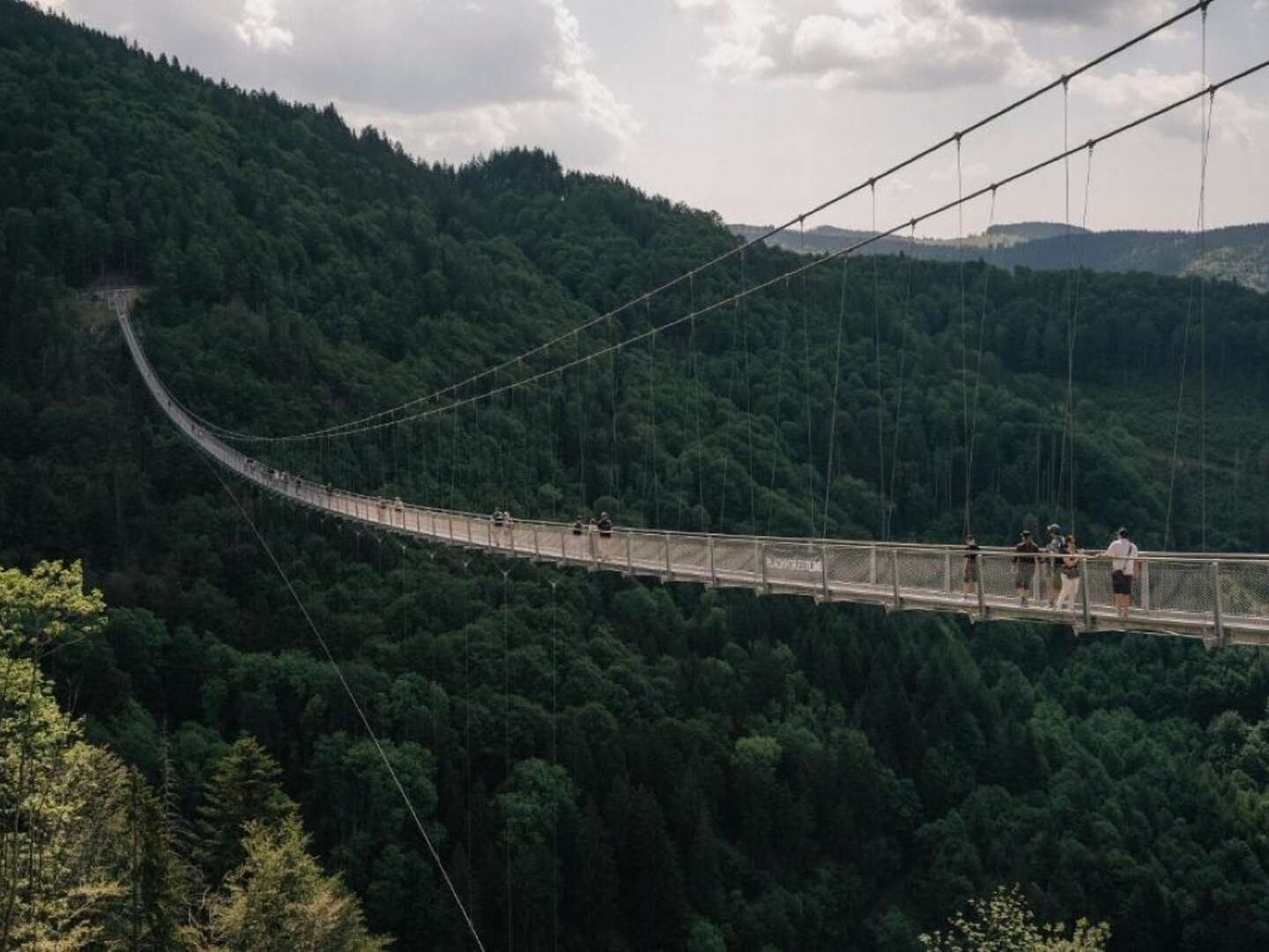 Wiedener Eck's Heimatwoche I Willkommen in unserem Zuhause