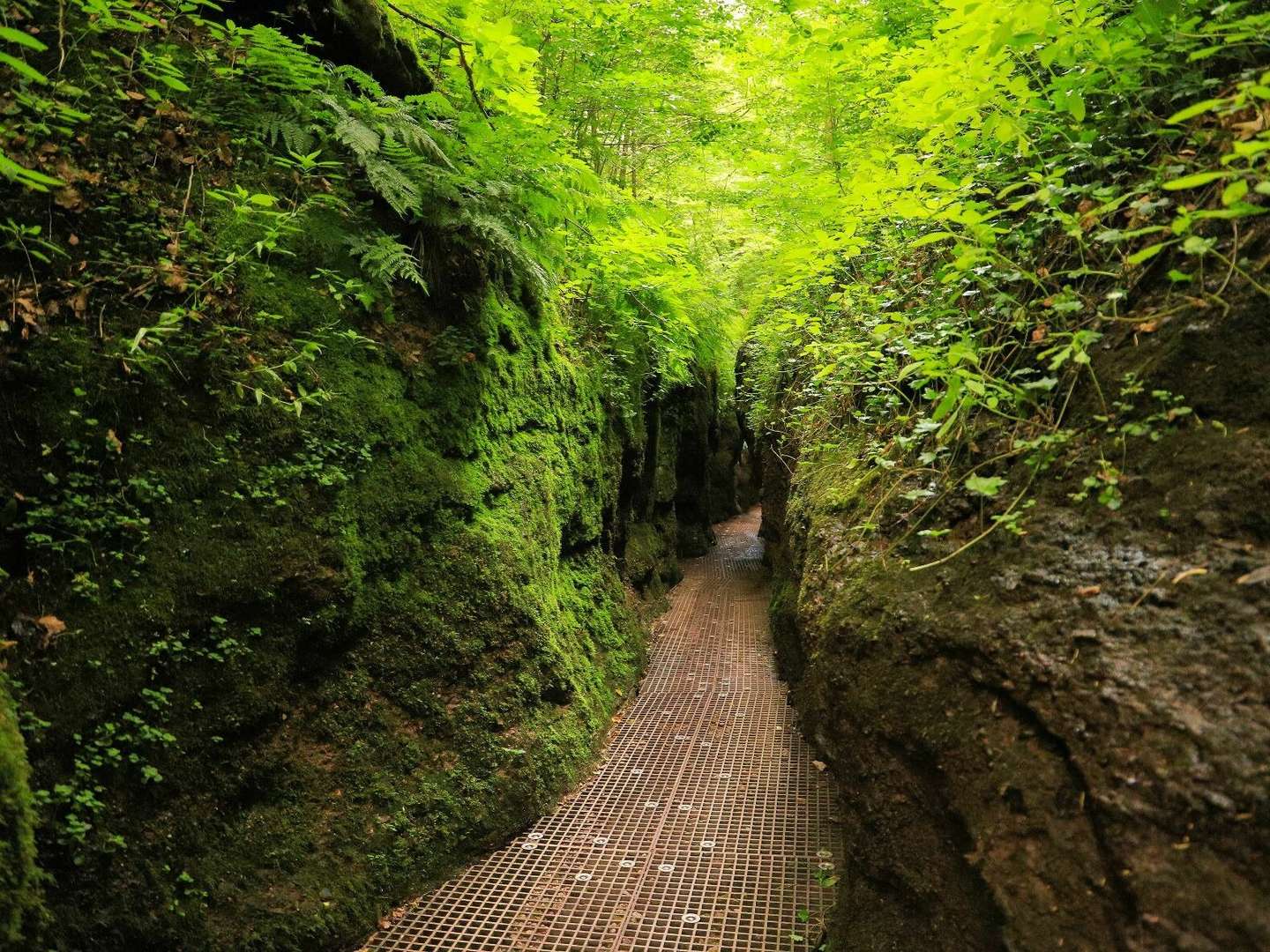 Verwöhn-Momente - Romantikurlaub in Eisenach 