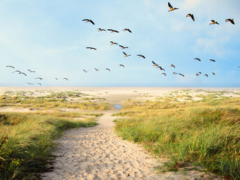 4 Wellnesstage im Ferienappartement an der Nordsee inkl. Eintritt Therme