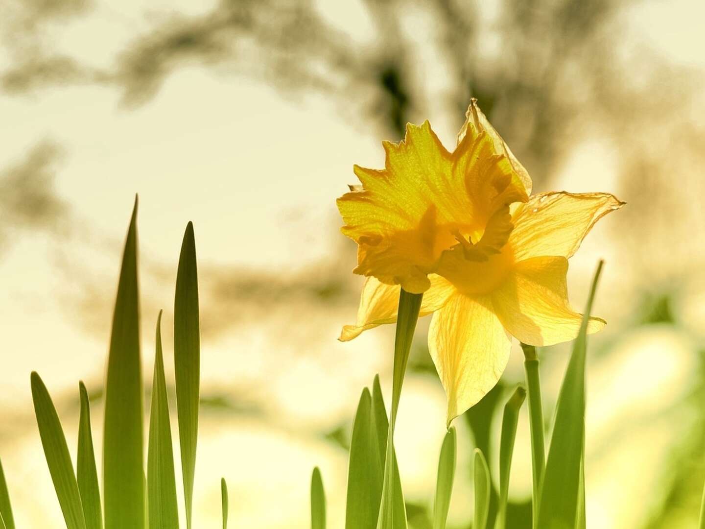 Ostern bei Freunden im Grünen - 3 Nächte