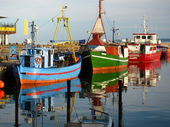 Naturparadies Rügen inkl. Schifffahrt zu den Kreidefelsen 