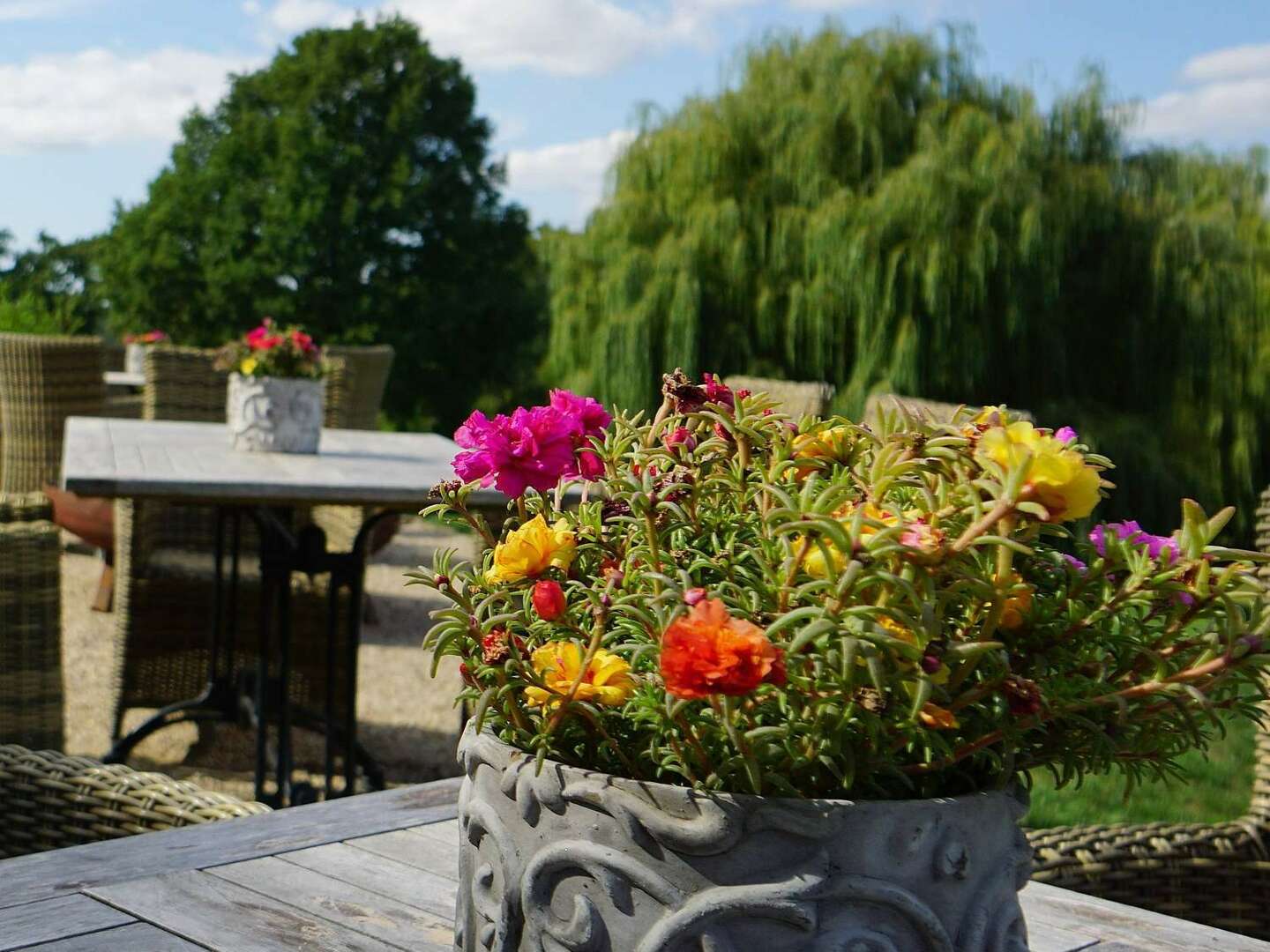 Weihnachtszauber im Schloss in Westmecklenburg