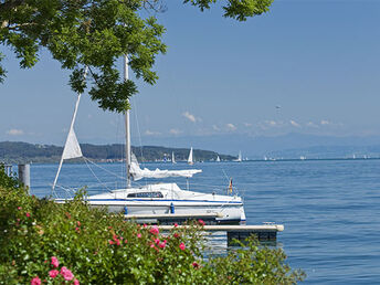 Für unsere Hundeliebhaber- 3 Tage am Bodensee